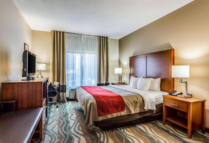 Camera Standard Letto King Accessibile ai persone con mobilità ridotta, Comfort Inn & Suites Chattanooga West   Lookout Mountain