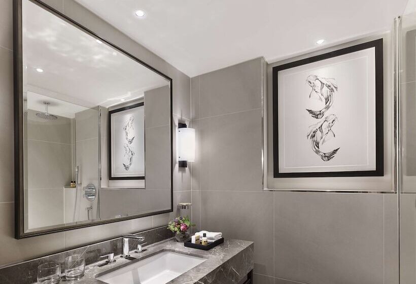 اتاق استاندارد با چشم‌انداز باغ, Hyatt Regency London The Churchill