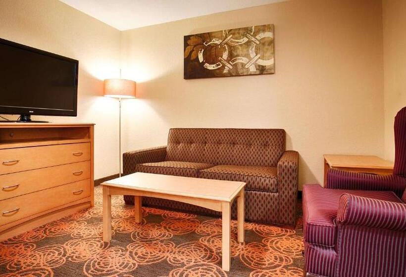 Люкс Адаптированный для Инвалидов, Best Western Plus Waco North