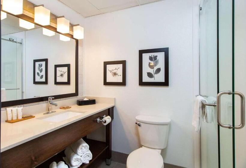 Номер Стандарт, Country Inn & Suites By Radisson, Rapid City, Sd