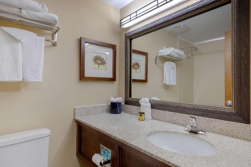 Люкс Кровать Кинг, Country Inn & Suites By Radisson, Rock Falls, Il