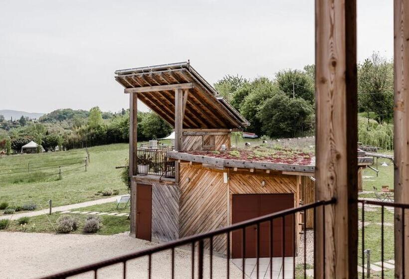 Номер Стандарт с Террасой, Casa Viva