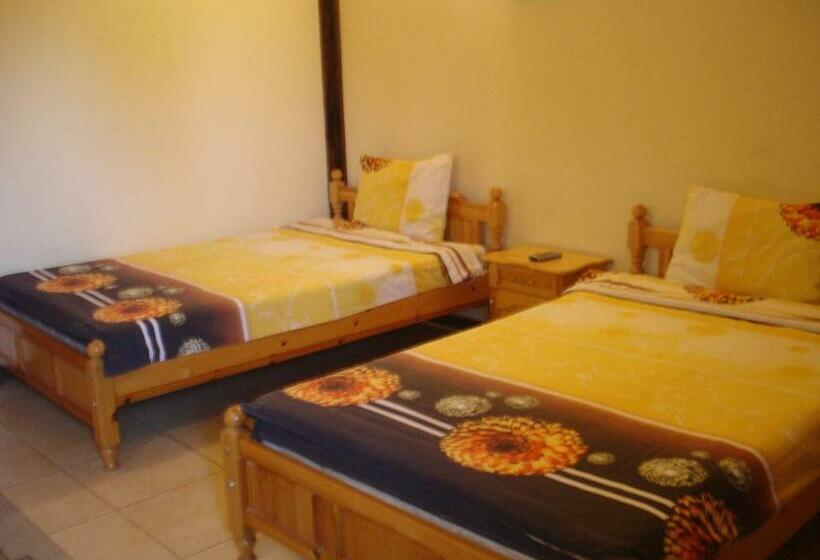 Номер Стандарт, Cesar Guest Rooms
