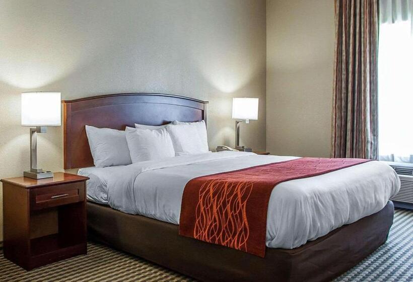 스위트 킹사이즈 침대, Comfort Inn & Suites Carneys Point