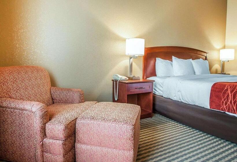 장애인을 위한 스탠다드 룸, Comfort Inn & Suites Carneys Point
