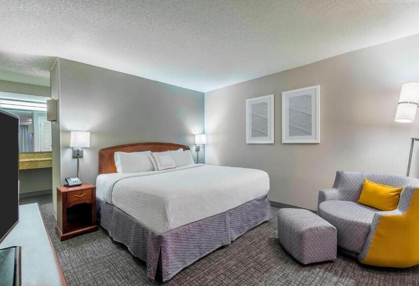 Standaardkamer met Kingsize Bed, Courtyard By Marriott Chattanooga Downtown