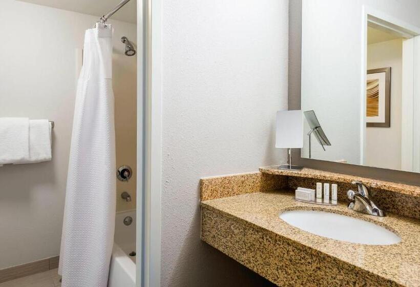 Standaardkamer met Kingsize Bed Aangepast voor Gehandicapten, Courtyard By Marriott Chattanooga Downtown