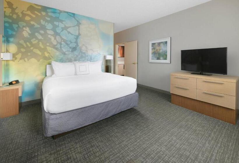 Suite Łóżko King Size, Courtyard Dallas Addison Quorum Drive