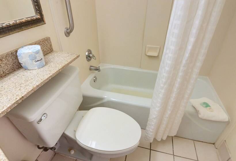 חדר סטנדרט, Holiday Inn Gainesville University Center, An Ihg