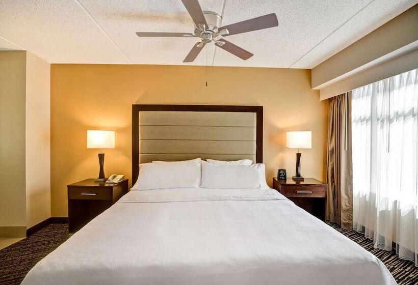 스위트 킹사이즈 침대, Homewood Suites By Hilton Washington, D.c. Downtown