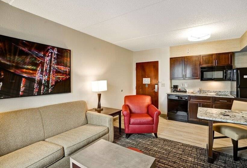 스위트, Homewood Suites By Hilton Washington, D.c. Downtown