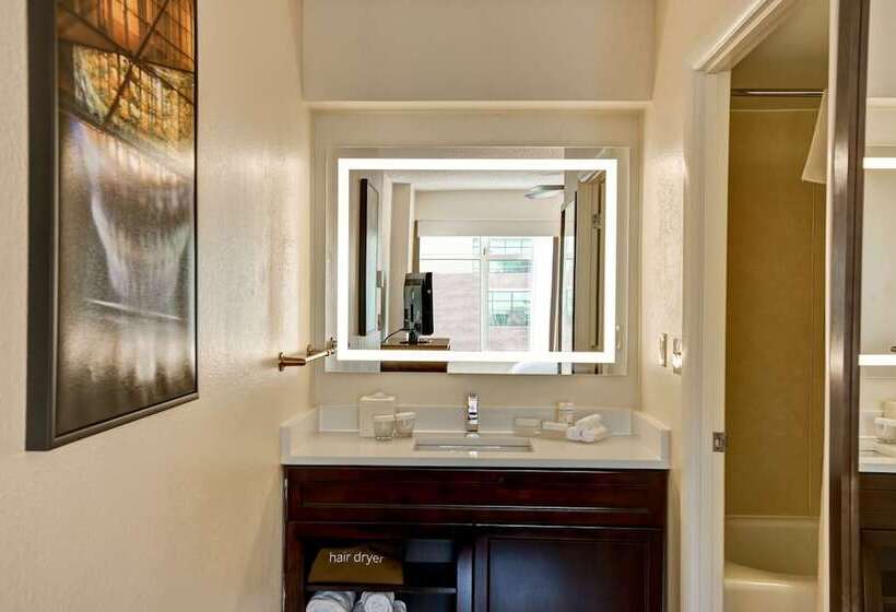 프리미엄 스위트, Homewood Suites By Hilton Washington, D.c. Downtown