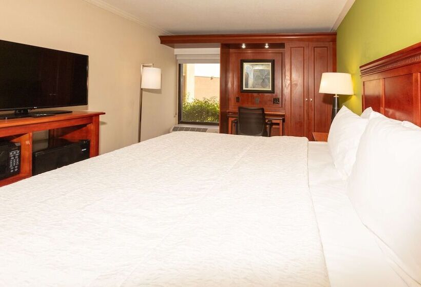 Стандартный Номер Кровать Кинг, Hampton Inn Daytona Speedway