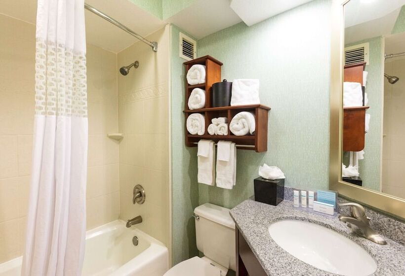 Номер Стандарт 2 Двуспальные Кровати, Hampton Inn Daytona Speedway