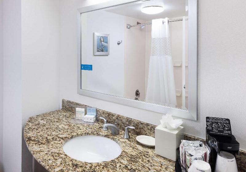 キングサイズベッドのスタンダードルーム, Hampton Inn Ft. Lauderdale Airport North Cruise Port