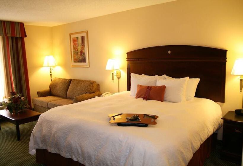 Студио Стандарт Кровать Кинг, Hampton Inn Stony Creek/petersburg Area
