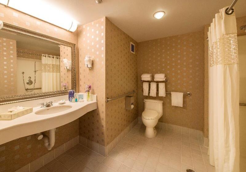 Стандартный Номер Кровать Кинг, Hampton Inn & Suites Boston Crosstown Center