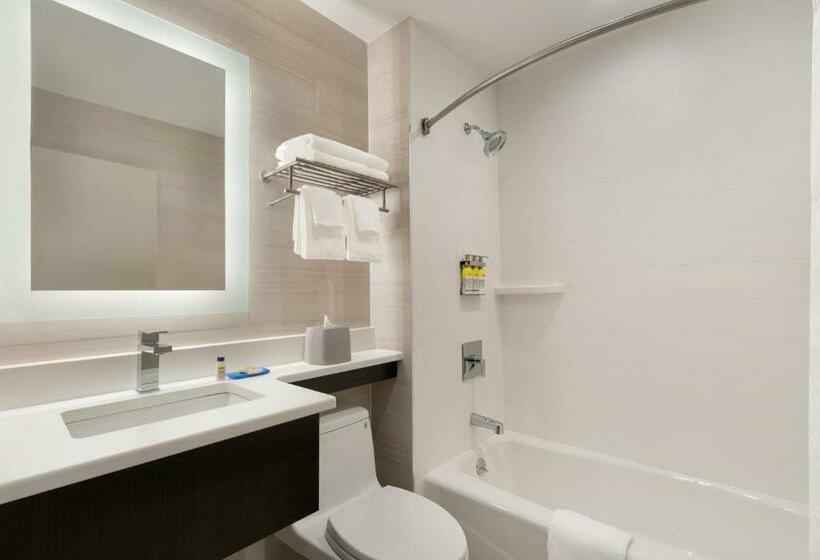 Quarto Estandar Cama King, Holiday Inn Express   Jamaica   Jfk Airtrain   Nyc, An Ihg