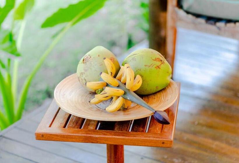Четырехместный Номер Стандарт, Chalé Seychelles