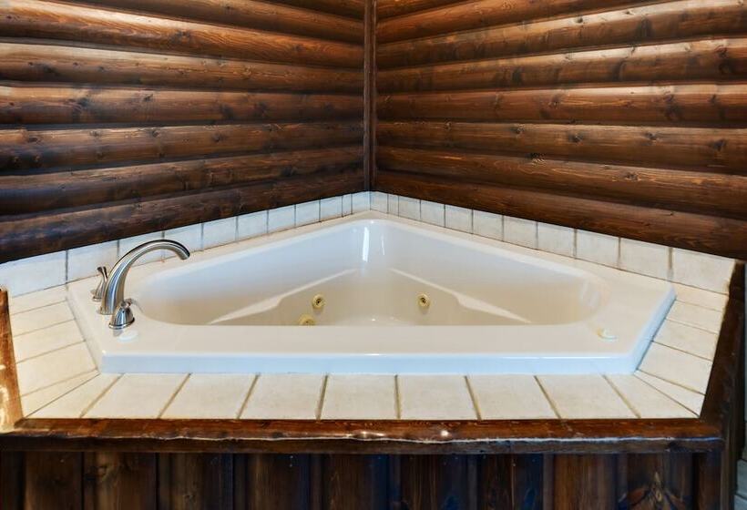 Люкс с гидромассажем, Stoney Creek Hotel Des Moines   Johnston