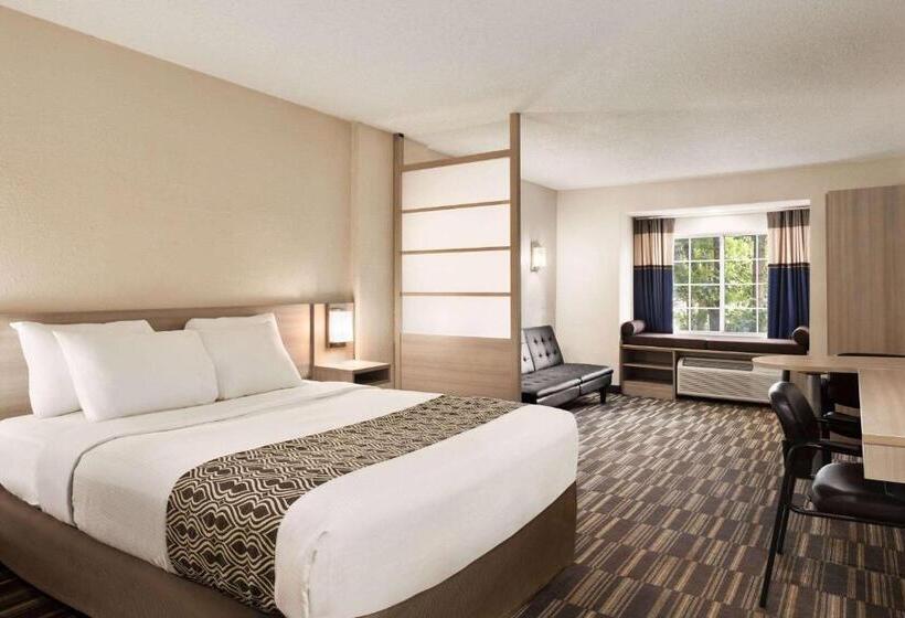 Студия Стандарт, Microtel Inn & Suites By Wyndham Florence/cincinnati Airpo