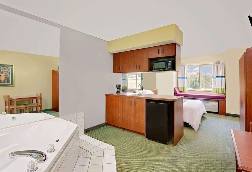 디럭스 스튜디오, Microtel Inn & Suites By Wyndham Thomasville/high Point/lexi