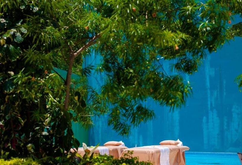Executive-sviitti, South Shore Villa Armonia Luxury Boutique