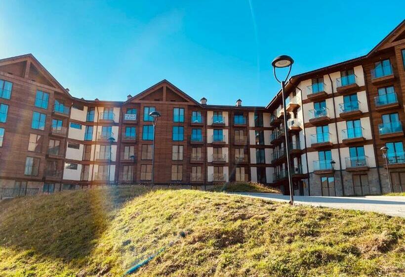 استودیوی استاندارد, Maisako's New Gudauri Apartment