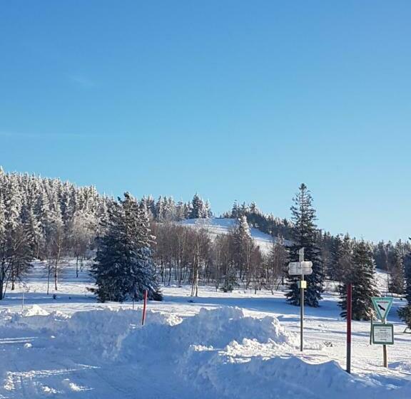 Студия Стандарт, Ehrenmättlehof Faißt