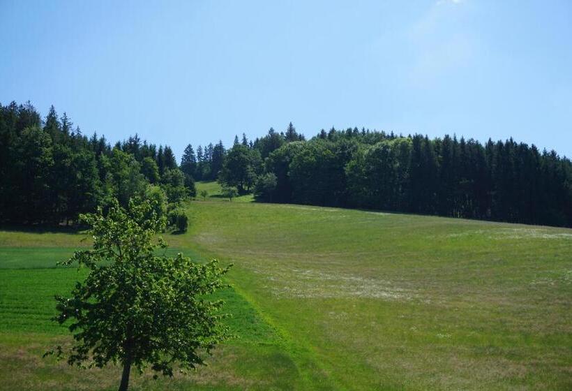 Студия Стандарт, Ehrenmättlehof Faißt