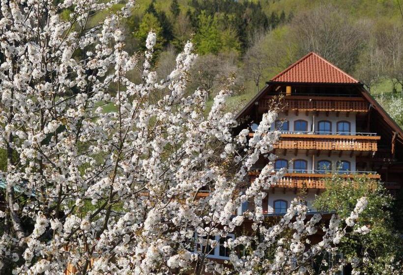 Апартаменты Deluxe 1 Спальня, Ehrenmättlehof Faißt