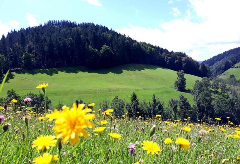 Студия Стандарт, Ehrenmättlehof Faißt