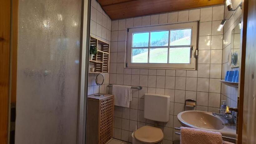 Апартаменты 1 Спальня, Ehrenmättlehof Faißt