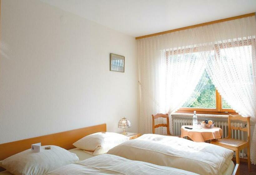 스탠다드 룸, Pension Auf Der Olk Mit Röpertsmühle