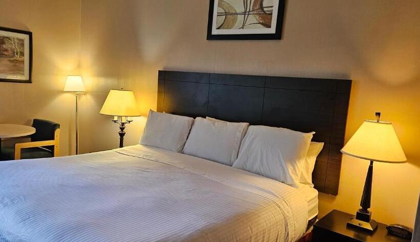 デラックススイート, Bellis Inn