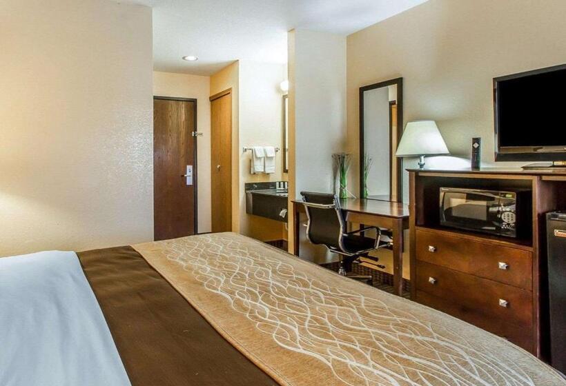 Стандартный Номер Кровать Кинг, Quality Inn & Suites