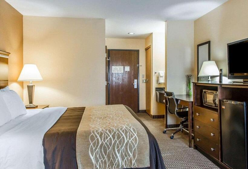 Стандартный Номер Кровать Кинг, Quality Inn & Suites