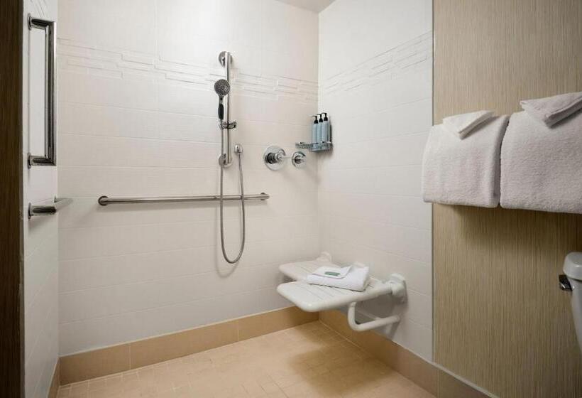 Студио Стандарт Кровать Кинг, Residence Inn Philadelphia Conshohocken