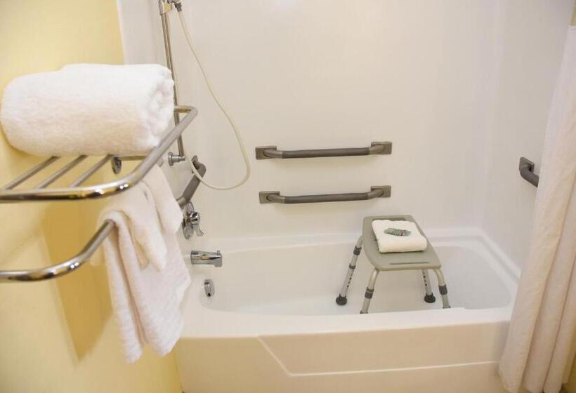适合残疾人士使用的带超级大床的标准间, Surestay Hotel By Best Western Manning