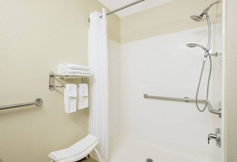 Номер Стандарт Адаптированный для Инвалидов, Microtel Inn & Suites By Wyndham Seneca Falls
