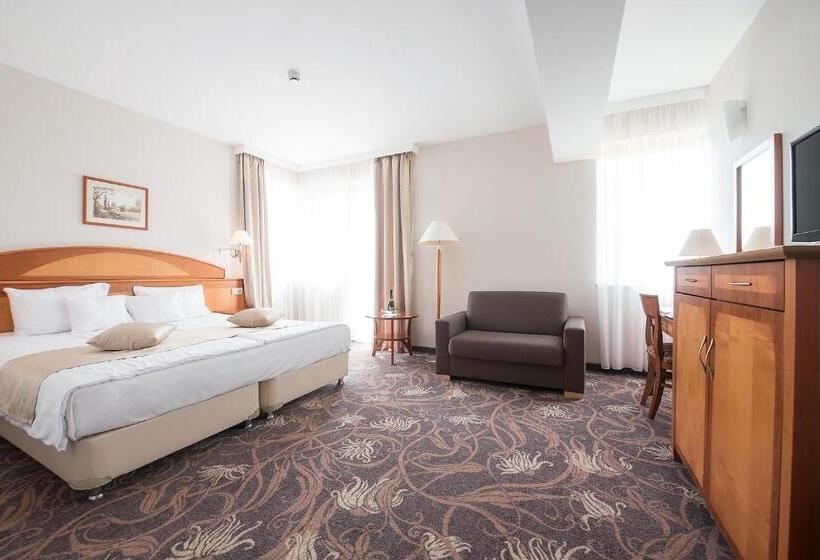 Номер Стандарт с доступом в Спа, Vitalmed Hotel Sárvár
