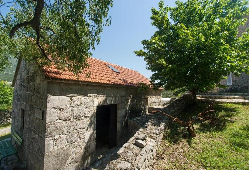 家庭工作室, Ethno Village Kokorici