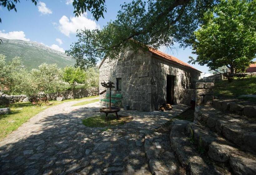 家庭工作室, Ethno Village Kokorici