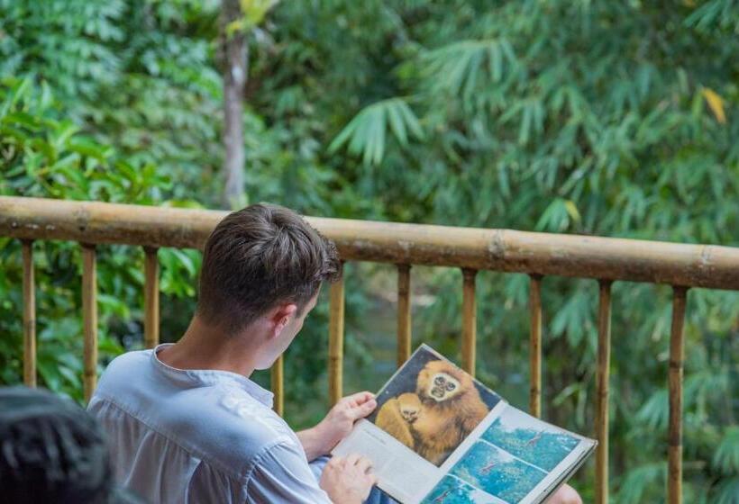 Номер Стандарт, Our Jungle Camp   Eco Resort