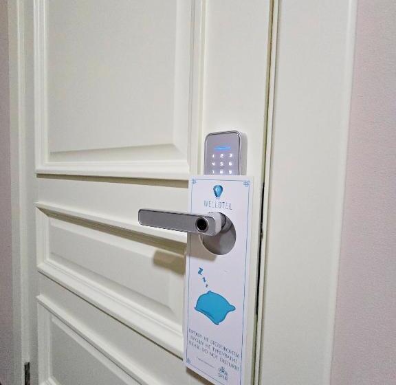 Номер Стандарт, Wellotel Chornomorsk