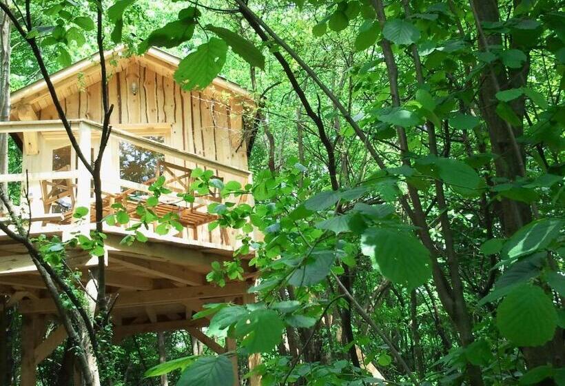Бунгало Стандарт, Kerca Bio Farm