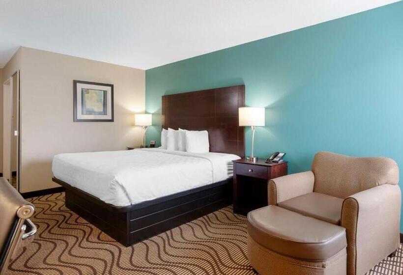 스탠다드 룸 킹사이즈 침대, Best Western Plus Lonoke