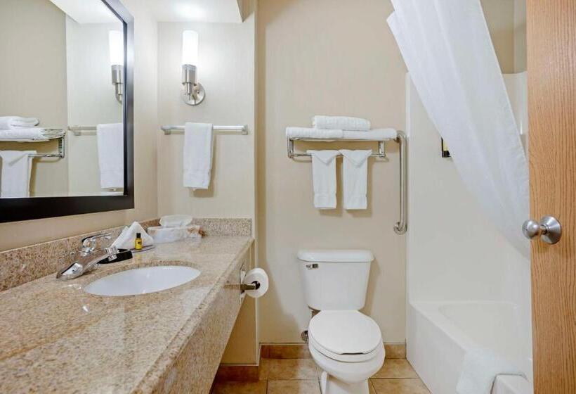 스탠다드 룸, Best Western Plus Lonoke