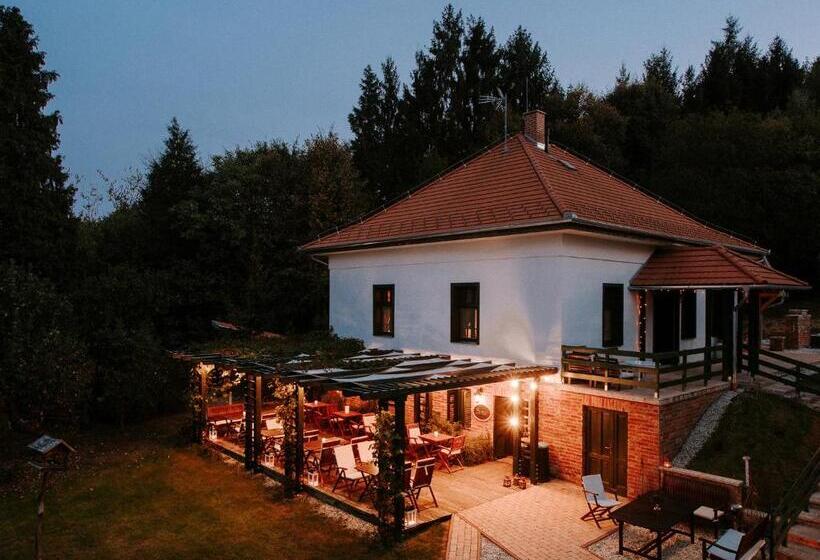 Вилла Deluxe 1 Спальня, Kosbor Panzió