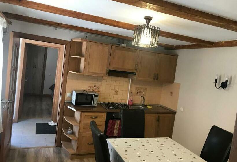带2个卧室的公寓, Pensiunea Haiduc Sacele Brasov